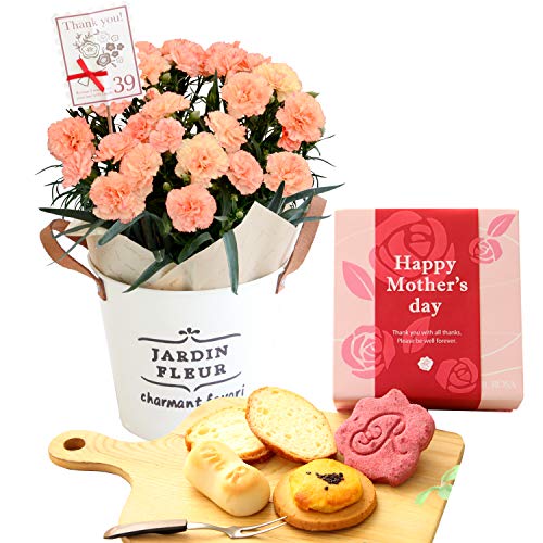 ランタン 花 菓子 スイーツの人気商品 通販 価格比較 価格 Com