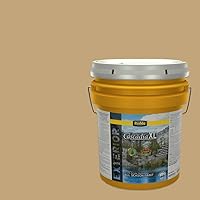 Vista 117 de Rodda Paint CASCADIA ZERO Interior Semi-Gloss Paint & Primer in One, Quart, Gold Tweed