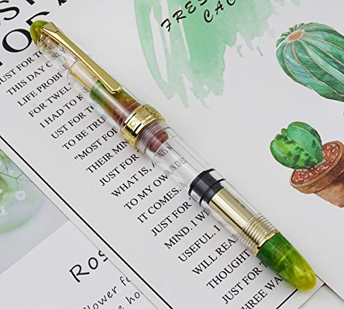 Stylo plume à piston Lorelei 667 vert transparent avec plume fine iridium