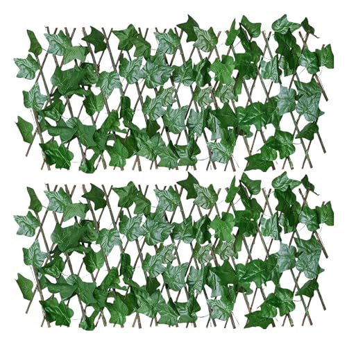 ACr[vCoV[tFX | g\ȐlHACr[vCoV[tFXXN[ | ߉\ȃvCoV[tFX lHwbWtFX /O//oRj[/p