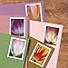 Tulip Blossom Forever First Class Postage Stamps, Valentine, Wedding, Celebration, Anniversary, Romance, Party (3 Sheets of 20 Count Booklet= 60 Stamps)