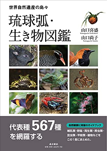 琉球弧・生き物図鑑