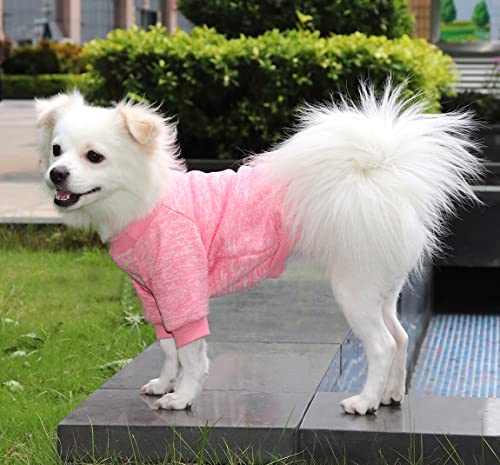 HuaLiSiJi Hundepullover Kleine Hunde Chihuahua Kleidung Welpen Hunde Hoodie, Warm und Leicht, Mit Einer Weichen Textur, Elastizität Leicht zu Tragen (Pink+Grey, XS)