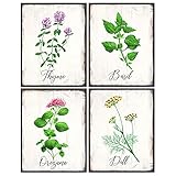 Kitchen Decor - Dining Room Decor - Herb Wall Decor - Botanical Wall Decor - Larousse Gastronomique...