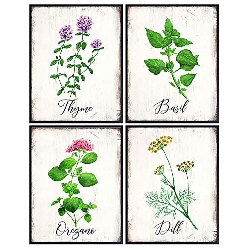 Kitchen Decor - Dining Room Decor - Herb Wall Print -