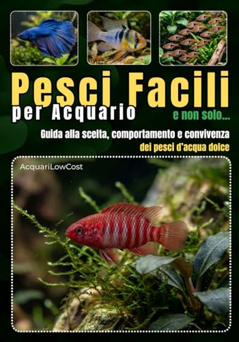 Pesci facili per acquario e non solo: Guida alla scelta, comportamento e convivenza dei pesci d’acqua dolce