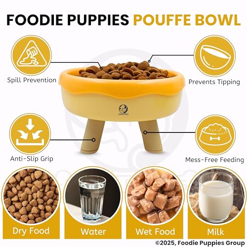 Image of Foodie Puppies Cat Food and Water Feeder - 250ml (Pouffe Bowl) | Durable and Anti Vomiting Cat Bowl for Persian Cat Prevent Tipping Over | Elevated Feeder for Cats and Small Dogs