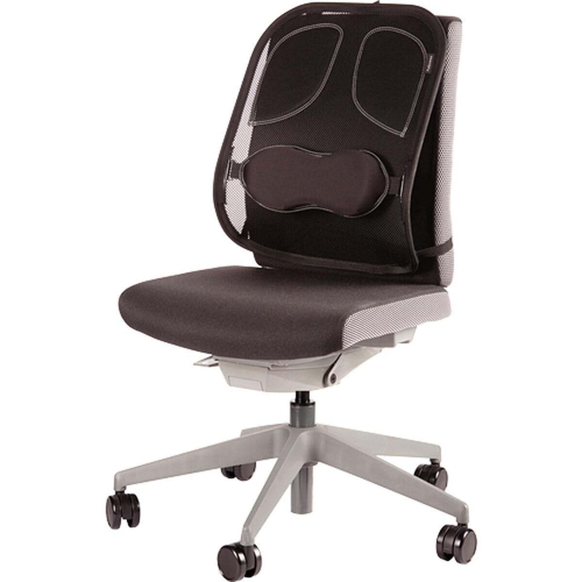 Fellowes - Mesh Professional Series - Respaldo Ergonómico de Rejilla - Cojín con Soporte Lumbar de Malla - Apoyo para la Espalda, Adaptable a Cualquier Silla. Ayuda a Mantener la Postura Correcta