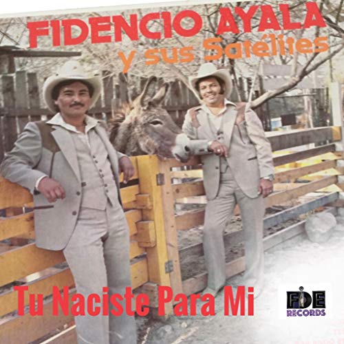 Falsa Ilusión