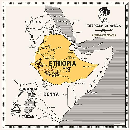 Bacha Coffee | Sidamo Mountain Ethiopia Single Origin, Medium Dark Roast, 100% Arabica Specialty Coffee, 12 Coffee Drip Bags, Gift Box