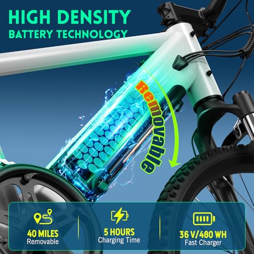 Image of TST Electric Bike for Adults, 750 Peak Motor Ebike with 36V /7.8Ah Battery, up to 40 Miles Range 25 MPH Electric Bicycle, 7 Speed, 26 inch E Bike for Commute