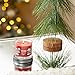 Yankee Candle Small Tumbler Scented Candle with up to 40 Hour Burn Time, Premium Plant Wax Blend for Consistent Burn, 4.3 oz Tumbler Candle with Room Filling Fragrance, Christmas Eve