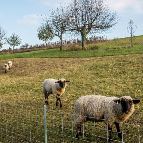 casa pura Wildzaun verzinkt in Fachhandel-Qualität | Verschiedene Höhen je nach Tierart | 50 m lang | Weidezaun Forstzaun Tierzaun Drahtzaun Gitterzaun Drahtgeflecht (100 cm x 50 m)
