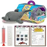 Vetopia Echo The Dolphin Interactive Animal Care Toy, Dolphin Figure, Syringe, Measuring Tape, Vet Exam Form, Habitat Carry Case, Pretend Play Toy, Ages 4+