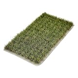 【Utilisation sans effort】Les touffes d'arbustes de plaine pré-groupées sont faciles à utiliser : il suffit de les décoller et de les placer pour créer instantanément un décor, sans avoir besoin d'applicateurs à gazon ni de colle salissante.