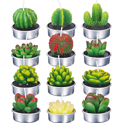 Ensemble de bougies succulentes uniques pour offrir un cadeau original et végétal