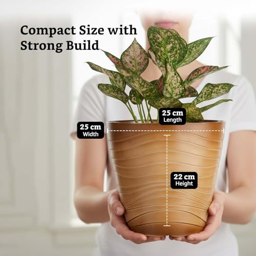 Image of Amazon Brand- Solimo Indoor and Outdoor Round 10 Inch Muscat Flower Planter Pot Best for Terrace /Balcony /Home /Office Decor - Set of 2