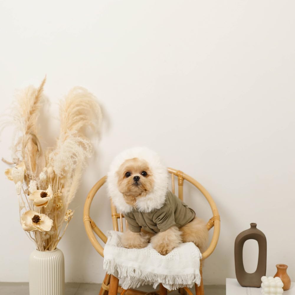 Amazon | monchéri モンシェリ [フードファージャケット] 犬 服 ドッグ