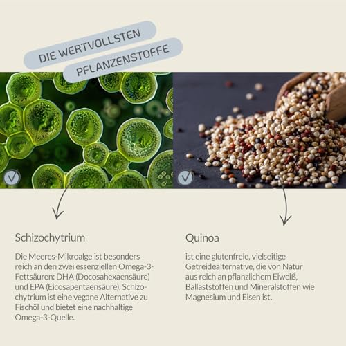 Provicell Vitamin B Komplex für Hunde mit B12 & Omega 3 – Vitamin B Tabletten für Hunde – 120 Tabletten – Ergänzung für Energie & aktive Phasen – Mit Tierärzten in Deutschland entwickelt