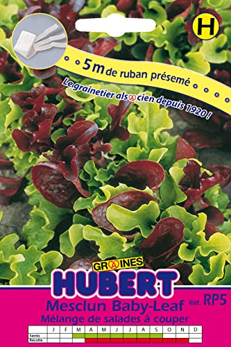Ruban Présemé de Graines de Mesclun Baby Leaf avec Roquette