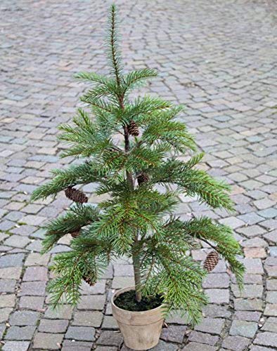 artplants.de Abeto Decorativo de Nordmann con piñas, en Maceta, 90cm - Árbol de Navidad Artificial - Árbol del...