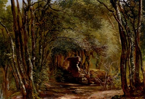 Poster décoration ruines dans la forêt Camuccini pour chambre