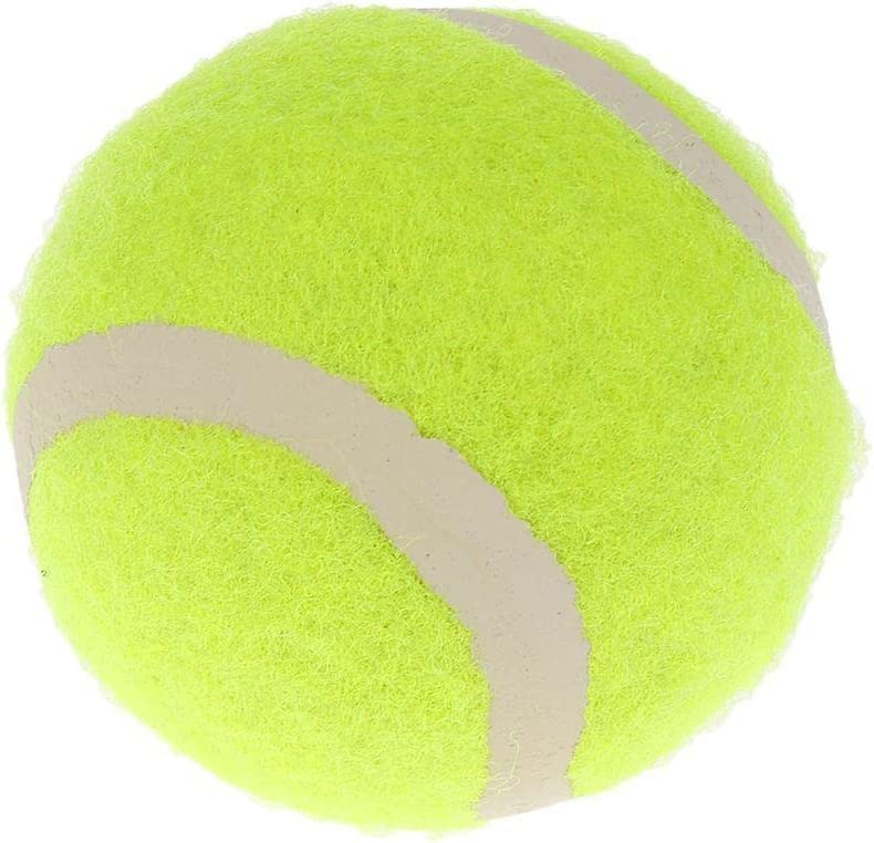 テニスラケット&ボール 51bi-mhFrNL._AC_UF350,