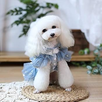Amazon.co.jp: 手作り犬服犬ドレスブルーチュールゴールドドット