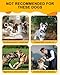 Xuwibaje Anti Barking Device for Dogs, Rechargeable Ultrasonic Bark Box with 3 Adjustable Modes, Safe 35FT Dog Bark Deterrent Device & Dog Barking Silencer for Indoor and Outdoor Use (Gray)
