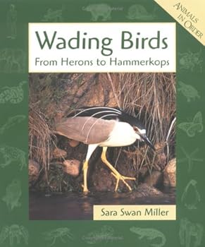 Paperback Wading Birds: From Herons to Hammerkops (Animals in Order) Book