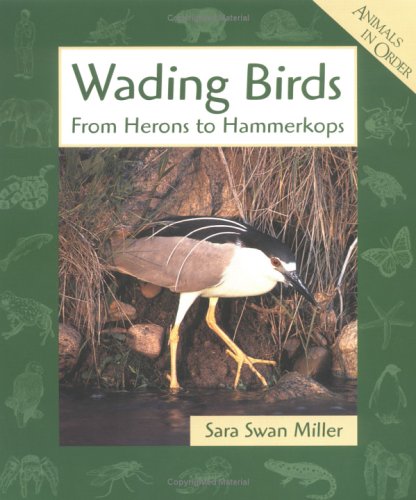 Wading Birds: From Herons to Hammerkops (Animal... 053113959X Book Cover