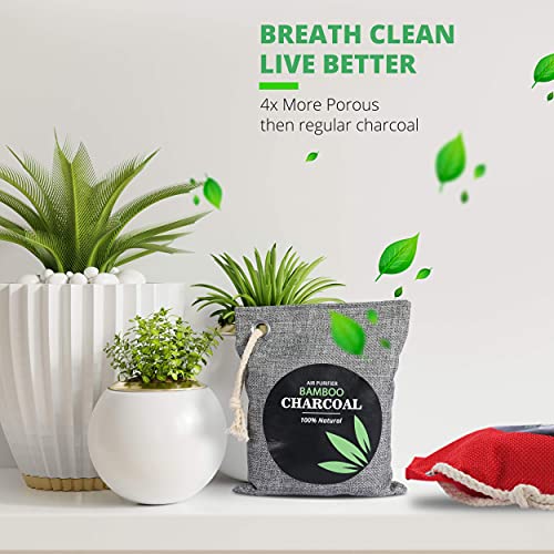 https://m.media-amazon.com/images/I/514ZFECcryL._SL500_.jpg