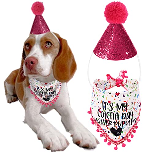 Gotcha Day Dog Birthday Outfit - Bandana and Party Hat for Small to Large Dogs