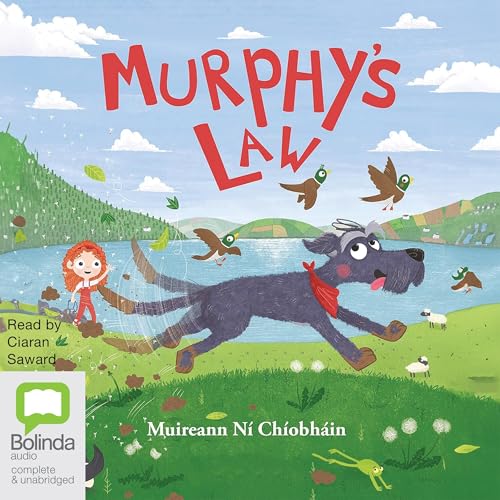 Page de couverture de Murphy's Law