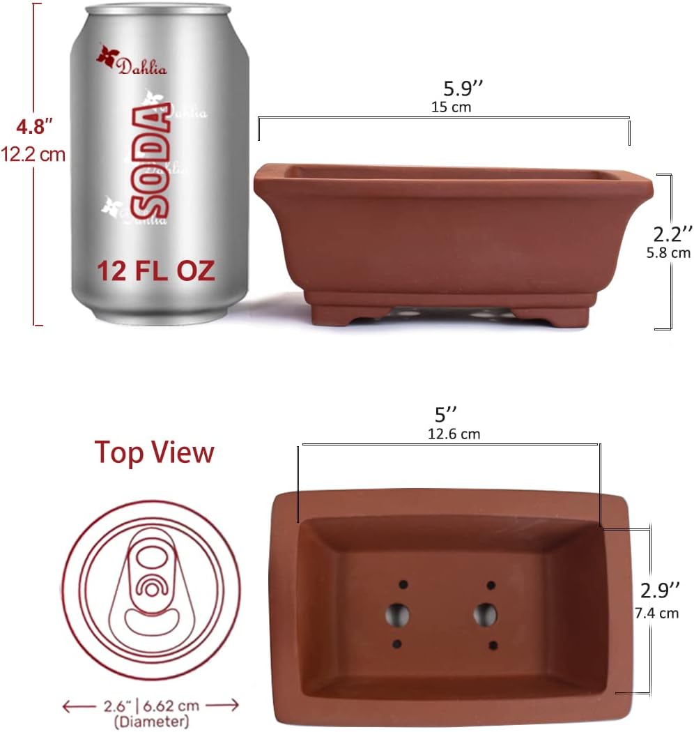 Dahlia 6" L x 4" W Rectangular Zisha Bonsai Planter/Succulent Pot/Flower Pot, Brown