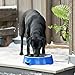 Farm Innovators Heated Pet Water Bowl, 40W Heated Water Dish - 3 Quart Stainless Steel Watering Station with Anti-Chew Cord Protector for Dogs & Cats