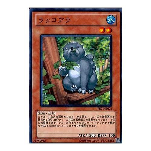 遊戯王 - こあら　① 31JPD9FZ0xL._UF350,350_QL50_.jpg