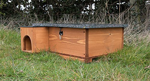 Riverside Woodcraft Hedgehog House Golden Brown With Anti Bacteria Coating | Predator and Cat Proof Outdoor Habitat, Feeding Station and Home | Eco Friendly Roof And Solid Wood Floor - Image 4