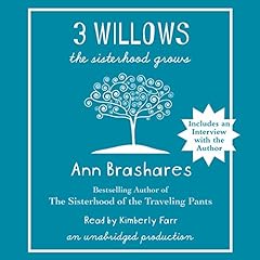 3 Willows Audiolibro Por Ann Brashares arte de portada