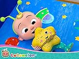 Twinkle Twinkle Little Star