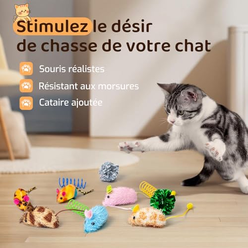 Jouets pour Chat, Paquet de 14 Jouets Chat interactifs, y Compris Une Balle pour Chat, Jouet à Ressort pour Chaton Adulte d'intérieur, Jouets à Herbe à Chat pour Chats à mâcher et Nettoyer Les Dents – Image 6