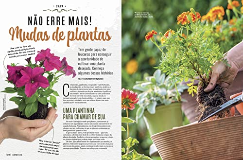 Revista Natureza 411