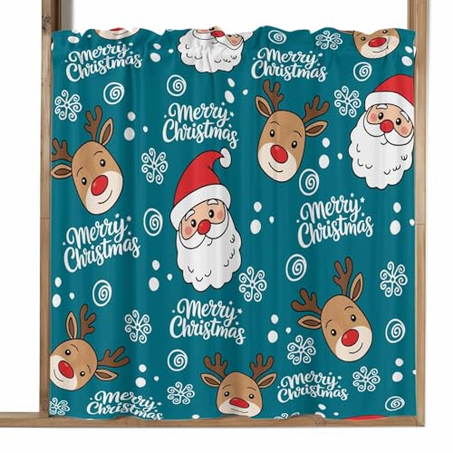 Dujzoltk JtFJ[e  [NX}X T^  100×110cm p J[e ՔM fM ډB  k Ԏd؂  ʏ iX  Lb`  O猩ɂ