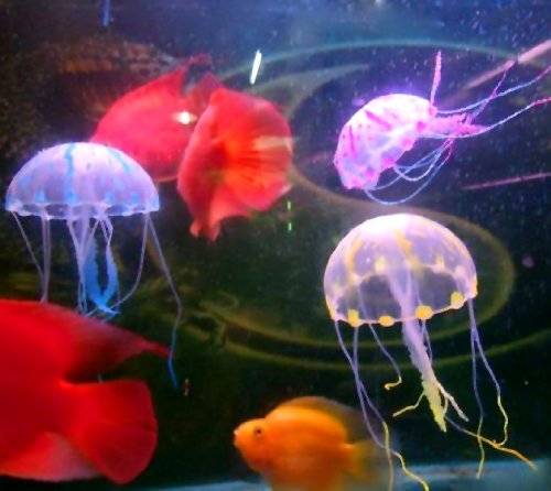クラゲくらげさん専用 H0138SPK]HERE by DETAIL Jellyfish Twisted Leg 