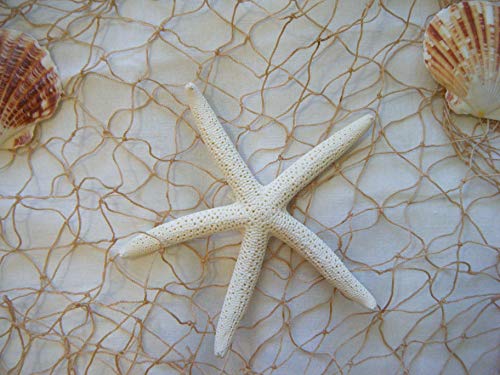 6 X 8 Fishing Net, Fish Netting, Floats, Starfish, Rope, Nautical Decor, Fish Net by Florida Nets