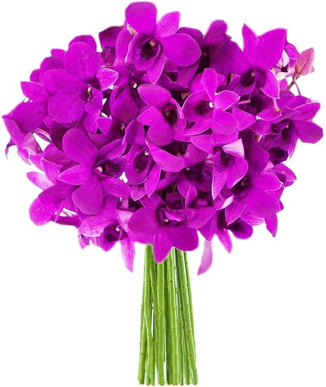 KaBloom PRIME NEXT DAY DELIVERY - Mothers Day Collection - 20 Purple Orchid Gift for Birthday, Sympathy, Anniversary, Get Well, Thank You, Valentine, Mothers Day Flowers