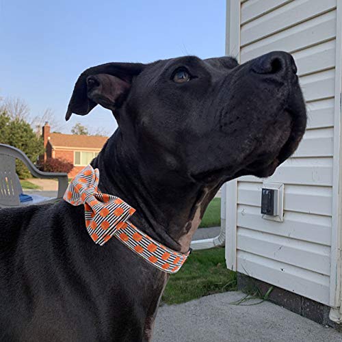 Elegantes Hundehalsband Mit Weicher Fliege - Halloween Verstellbares Halsband Mit Schleife - Haustierhalsband Geschenk für Kleine Weibliche Oder Männliche Hunde