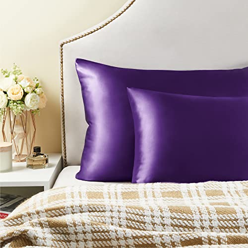 BEDELITE Satin Pillowcase with Zipper 2 Pack, Plum Purple Pillow Cases Standard Size, Super Soft and Cooling Similar to Silk Pillow Cases, Gift for Women Men(20x26 Inches)