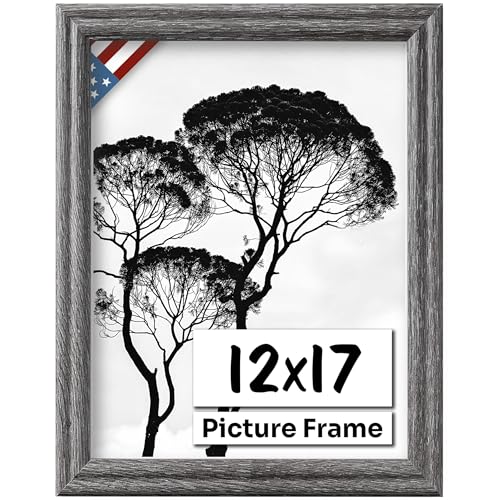 Barnwood Gray 12x17 Picture Frame