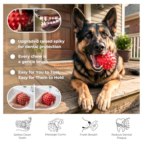 Interactive Squeak Dog Ball DROPS TO - image 5